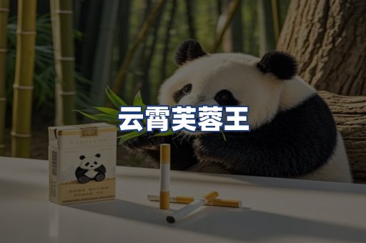 云霄芙蓉王